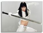 Milla Jovovich Screen-Worn Wardrobe From Her Fight Scenes in ''Ultraviolet'' -- With Prop Store COA