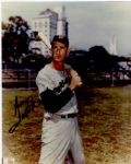 Ted Williams Glossy 8 x 10 Signed Photo -- Fine