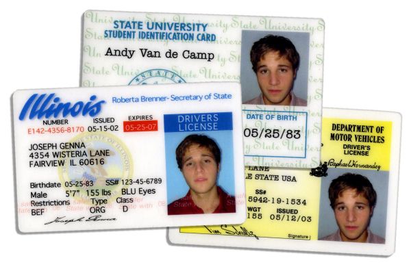 Three ID Cards Used on Screen on Desperate Housewives -- With ABC Studios COA