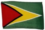 Apollo 15 Flown 6 x 4 Guyana Flag -- Signed & Inscribed Flown to the Moon on Apollo 15 Al Worden CMP by NASA Astronaut Al Worden -- Near Fine -- Also With COA by Worden
