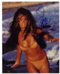 8 x 10 Elle MacPherson Glossy Signed Photo -- The Body Signs With a Heart -- Very Good Condition -- With Wehrmann COA