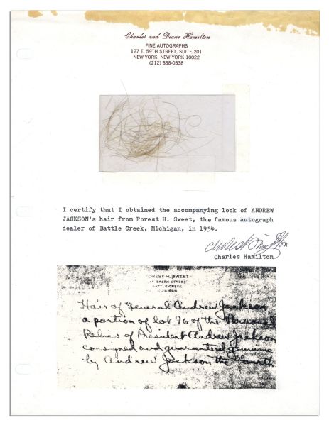 Strands of Andrew Jackson's Hair