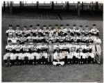 World Champion 1954 New York Giants 14 x 11.25 Team Photograph With 36 Signatures Including Willie Mays -- From the Personal Estate of Larry Jansen
