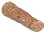 Barnacle-Encrusted Spike From a Sunken Galleon in the Spanish Treasure Fleet of 1715 -- ...one of the worst maritime disasters of all time...