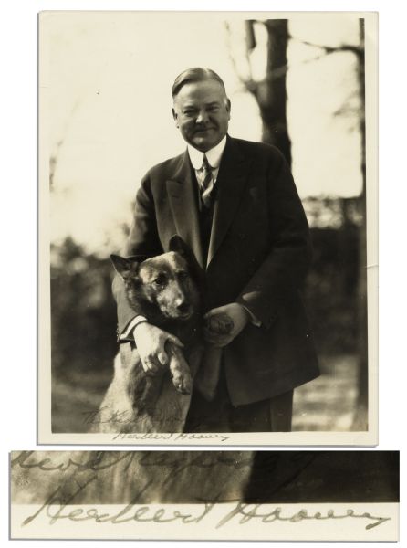Herbert Hoover Signed 8 x 10 Campaign Photo of Himself With His Dog King Tut