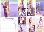 Pamela Anderson Signed Calendar