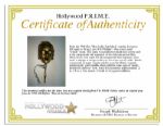 Screen-Worn Mask From the Hit Film ''Man In The Iron Mask''