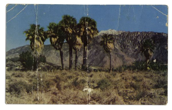 Sal Mineo Autograph Letter Signed on a Postcard in 1955 Just Before He Started Filming ''Rebel Without a Cause'' -- ''...I'm Still Alive And Kicking...''