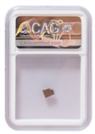 John F. Kennedy Assassination Limousine Leather Swatch -- CAG Encapsulated
