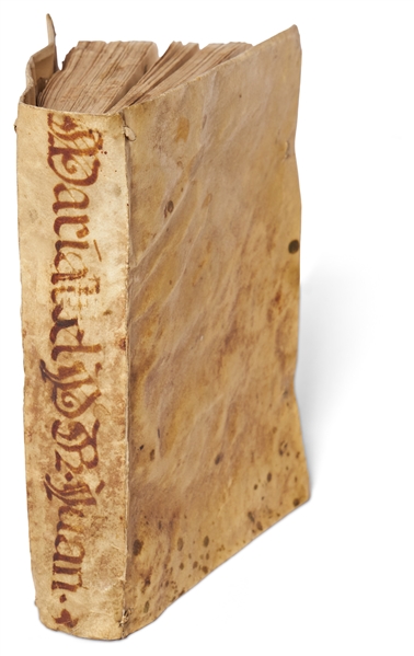 18th Spanish Century Book of Sermons Related to the Virgin Mary