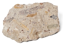 Large Piece of the Berlin Wall Measuring 6.75'' x 5.5'' x 2.5'' -- With COA from Volker Pawlowski