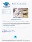 Buzz Aldrin Signed Apollo 11 Visor Photo Measuring 20'' x 16'' -- With Steve Zarelli COA